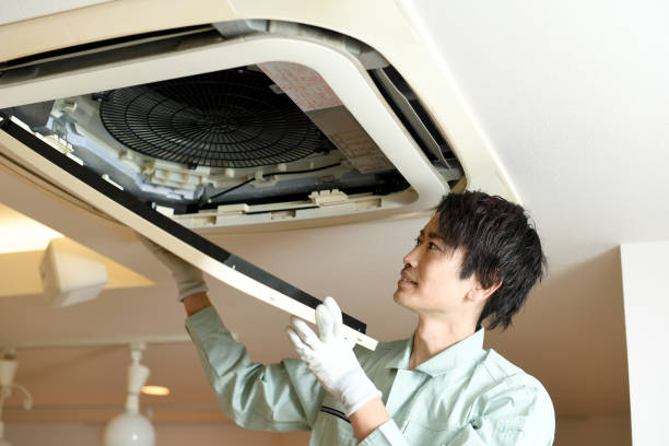 Best Professional Duct Cleaning Services  in Omao, HI